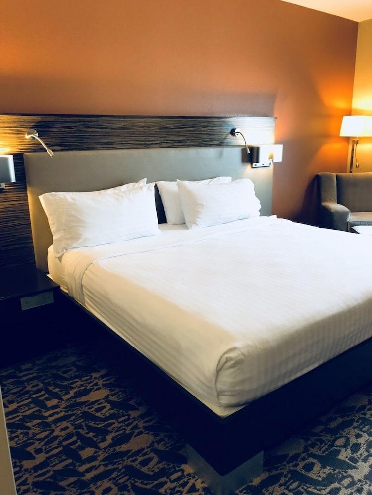 Holiday Inn Express & Suites North Dallas At Preston By Ihg Dış mekan fotoğraf